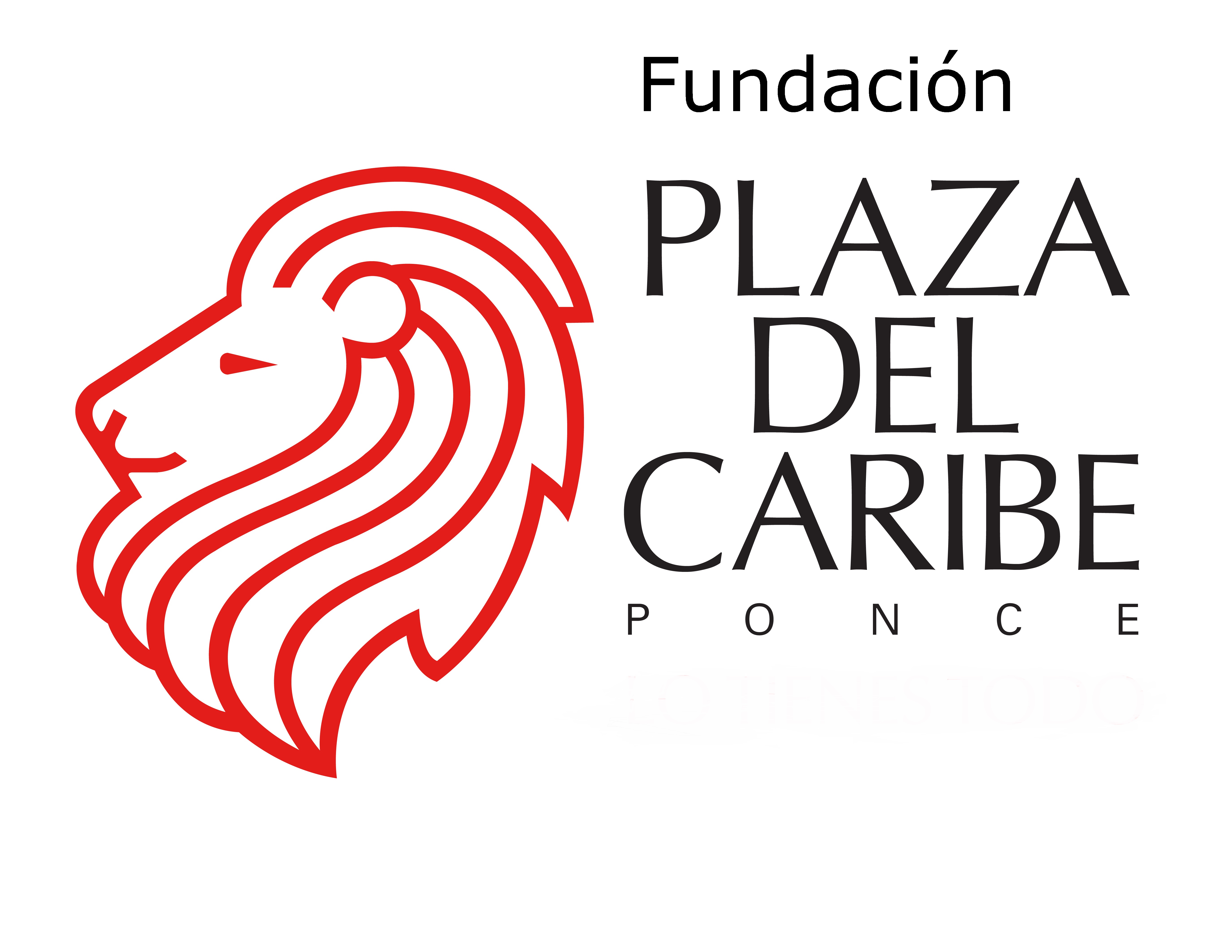 LOGO fundacion PDC HORIZONTAL-01
